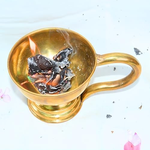 Traditional Brass Dhoop Dani with Handle 7 Inch Incense Holder