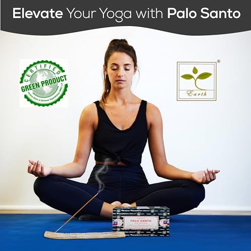 Satya Nag Champa Palo Santo Incense Sticks 15gmx12 Pack with Raajsee Incense Holder