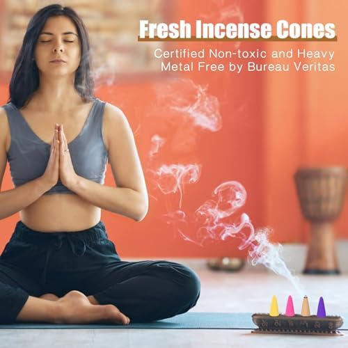 Incense Cones Variety Pack 6 Scents Relaxation