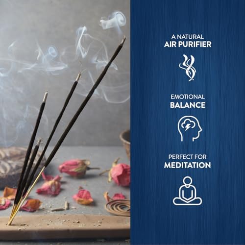 HEM Moon Incense Sticks Pack of 6 120 Count