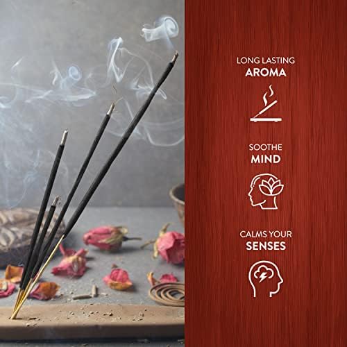 HEM Amber Box of Six 20 Gram Incense Tubes