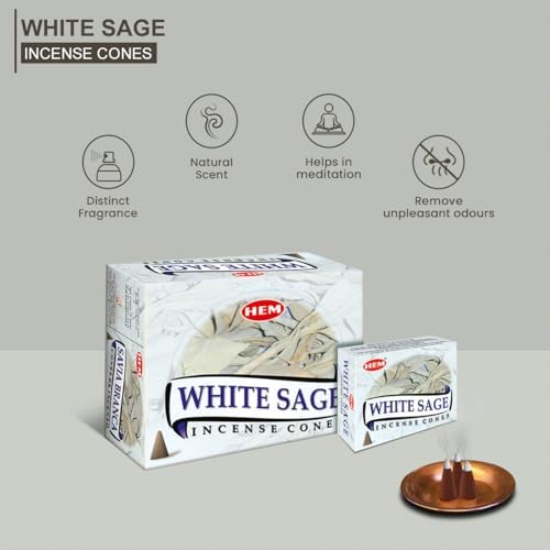 HEM White Sage Cones Pack of 12 10 Cones Each