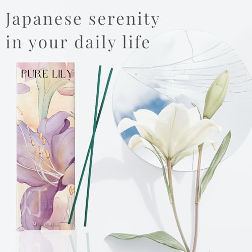 Luxury Japanese Incense Sticks 60pcs Aromatherapy Set