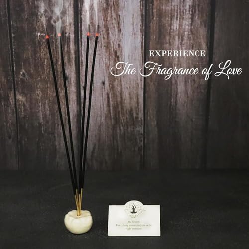 Hosley 240 Pack Assorted Incense Sticks for Home Aromatherapy