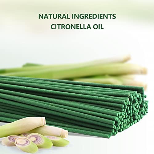 STRN Citronella Incense Sticks with Holder - 120 Sticks per Box
