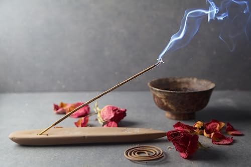 HEM Cinnamon Apple Incense Sticks 120 Sticks 6 Boxes 9 Inches Long