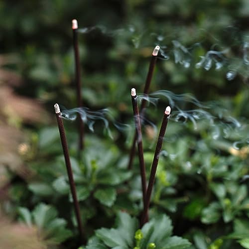 Farm Raised Candles - USA Made Mintronella Natural Mosquito Repellent Sticks
