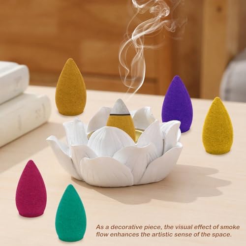 110Pcs Backflow Incense Cones with 6 Natural Scents