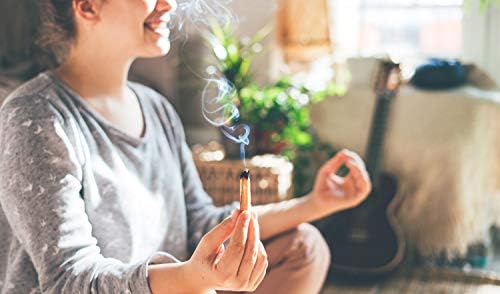 Alternative Imagination Palo Santo Sticks - Pack of 20