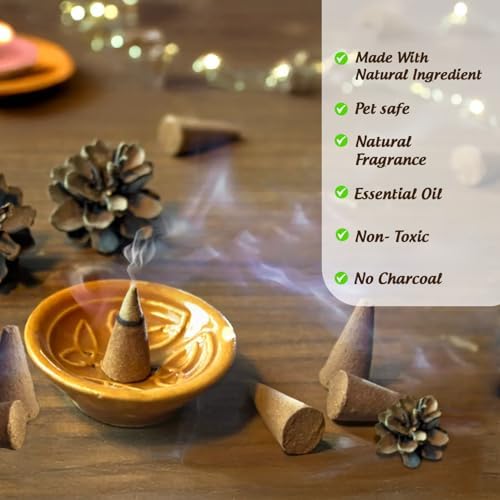 Hem 12 Assorted Boxes of Incense Cones 120 Total