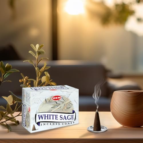 HEM White Sage Cones Pack of 12 10 Cones Each