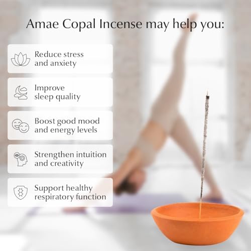 Amae Incense Copal Mexican 20 Sticks Premium