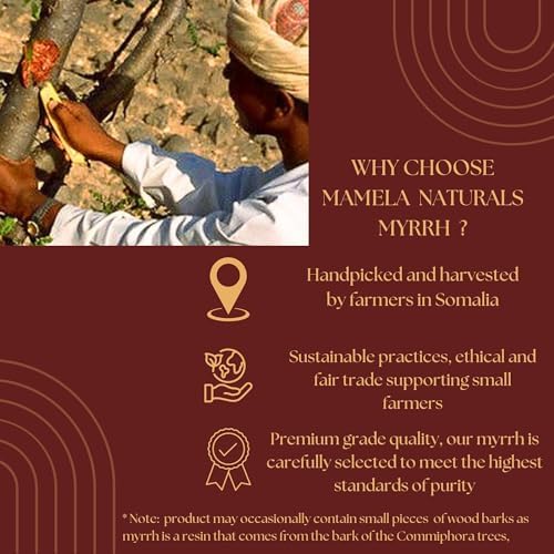 Myrrh Incense 2oz Natural Wild-Harvested Somalia
