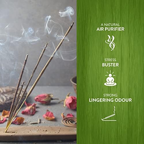 HEM Precious Patchouli Incense Cones Pack of 120