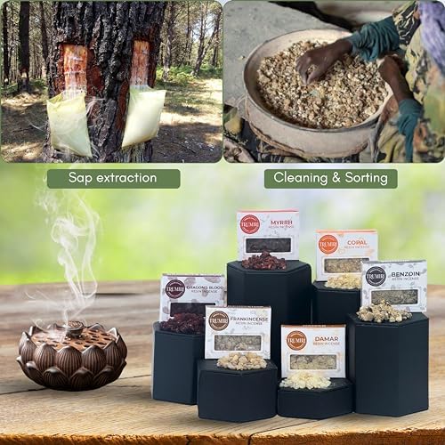 Trumiri Resin Incense Variety Pack 6x30g