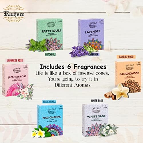 Raajsee Natural Incense Cones Variety Pack 6x15