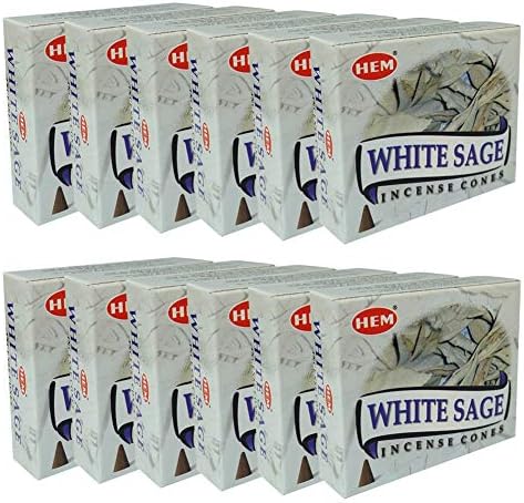 White Sage Incense Cones and Burner Bundle
