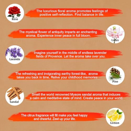 USKICH Incense Sticks Variety Pack 240 Sticks