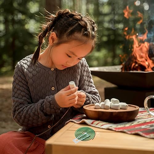 Citronella Incense Coil 2 Pack 48 Coils 2 Stands