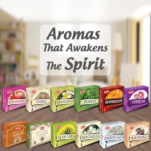 Hem 12 Assorted Boxes of Incense Cones 120 Total
