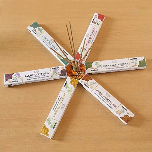 Raajsee Natural Incense Sticks 6 Pack Mixed Scents Gift Set