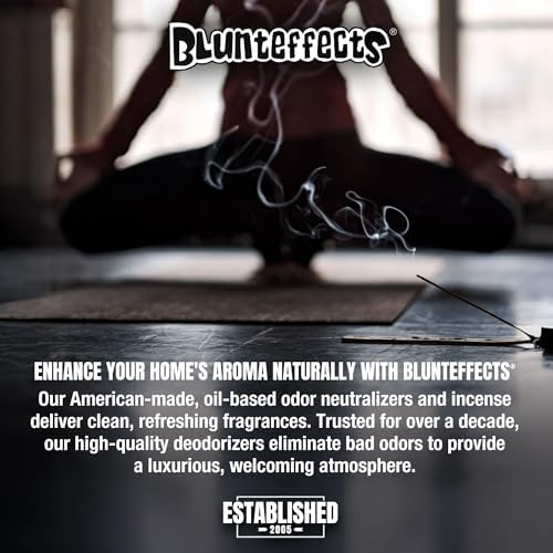 Blunteffects Hand-Dipped Incense Sticks - 144-Pack Variety Set with 12 Scents