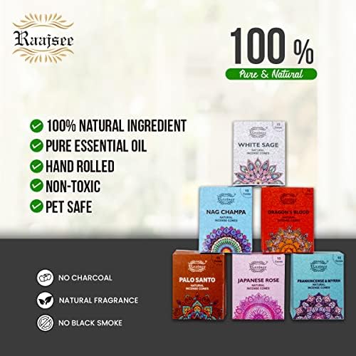 Raajsee Natural Incense Cones Variety Pack 6x15