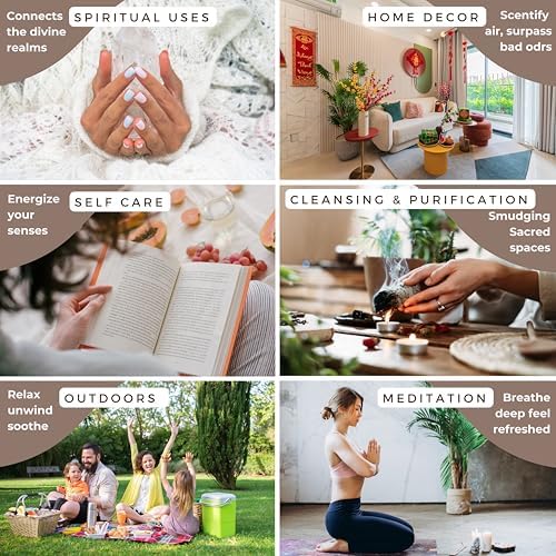 TRUMIRI Variety Pack Backflow Incense Cones for Waterfall Fountain - Pack of 6