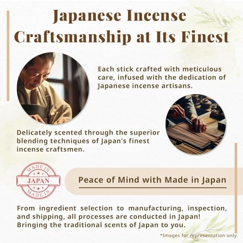 Hasegawa Ink Essence Incense - 30 Sticks Smokeless Zen Aroma