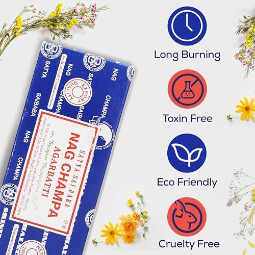 Raajsee Incense Stick Holder Bundle with Nag Champa 250g Pack