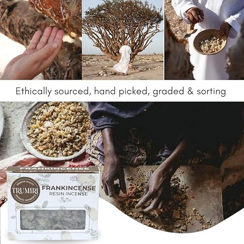 Frankincense Resin Incense for Church - 30g Pack