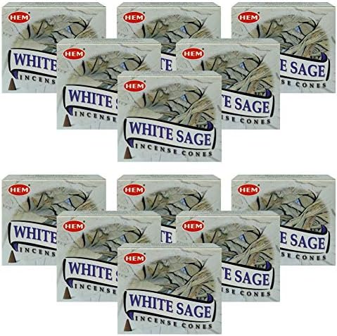 White Sage Incense Cones and Burner Bundle