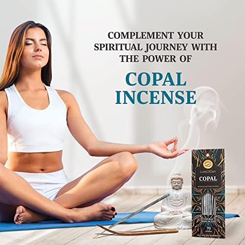 Lots Of Zen Copal Incense Sticks Smudge Kit 70 Pcs
