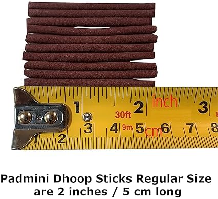 Padmini Dhoop Sticks 12 Boxes of 10 Each 2 Inch Regular Size