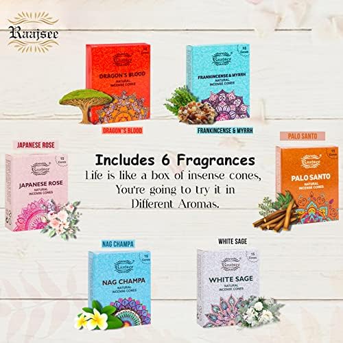 Raajsee Natural Incense Cones Variety Pack 6x15 1