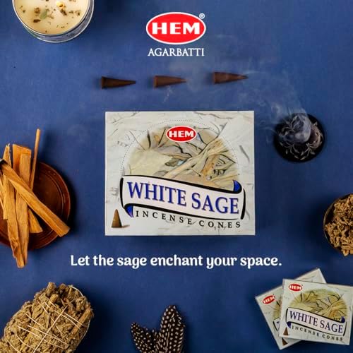 HEM White Sage Cones Pack of 12 10 Cones Each