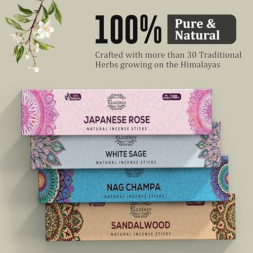 Raajsee Incense Sticks Assorted Pack 12 Count