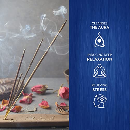 HEM Dragons Blood Incense Sticks 120 Count Gift Set