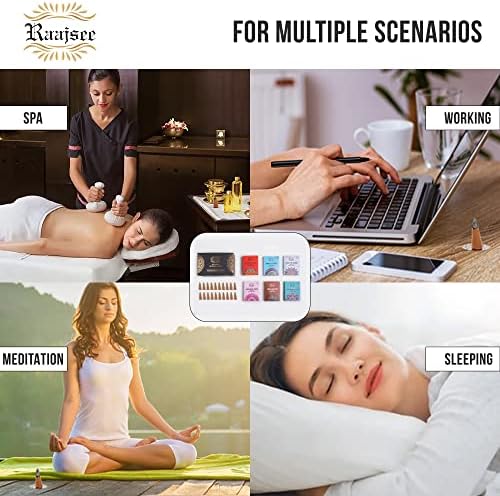 Raajsee Natural Incense Cones Variety Pack 6x15 1