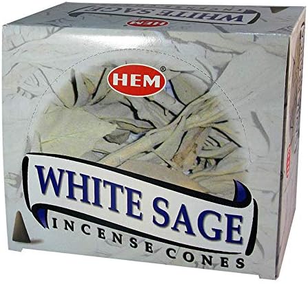 White Sage Incense Cones and Burner Bundle