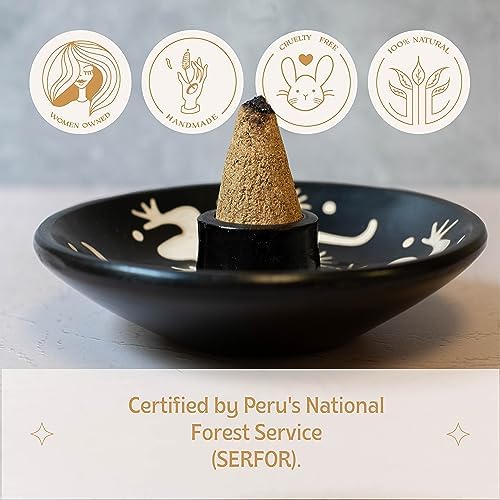 Luna Sundara Handmade Palo Santo Incense Cones 10 Per Box