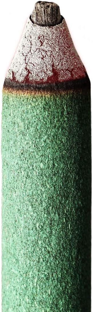 DEARTAGNAN Anti-Mosquito Incense Sticks
