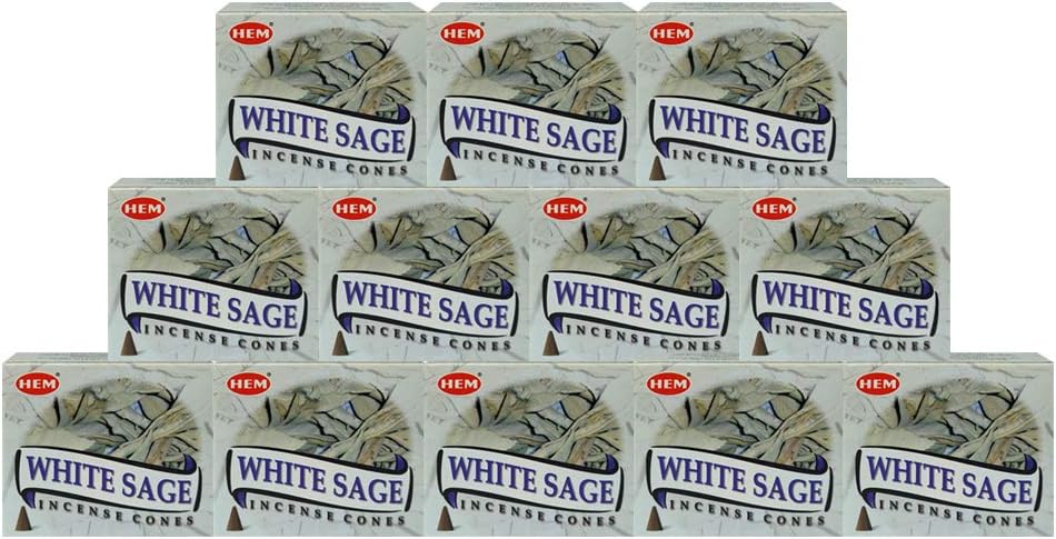 White Sage Incense Cones and Burner Bundle