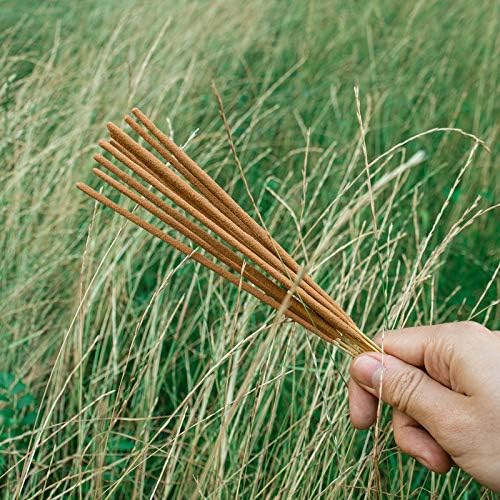 GOLOKA Nag Champa Incense 250 GM Box Natural