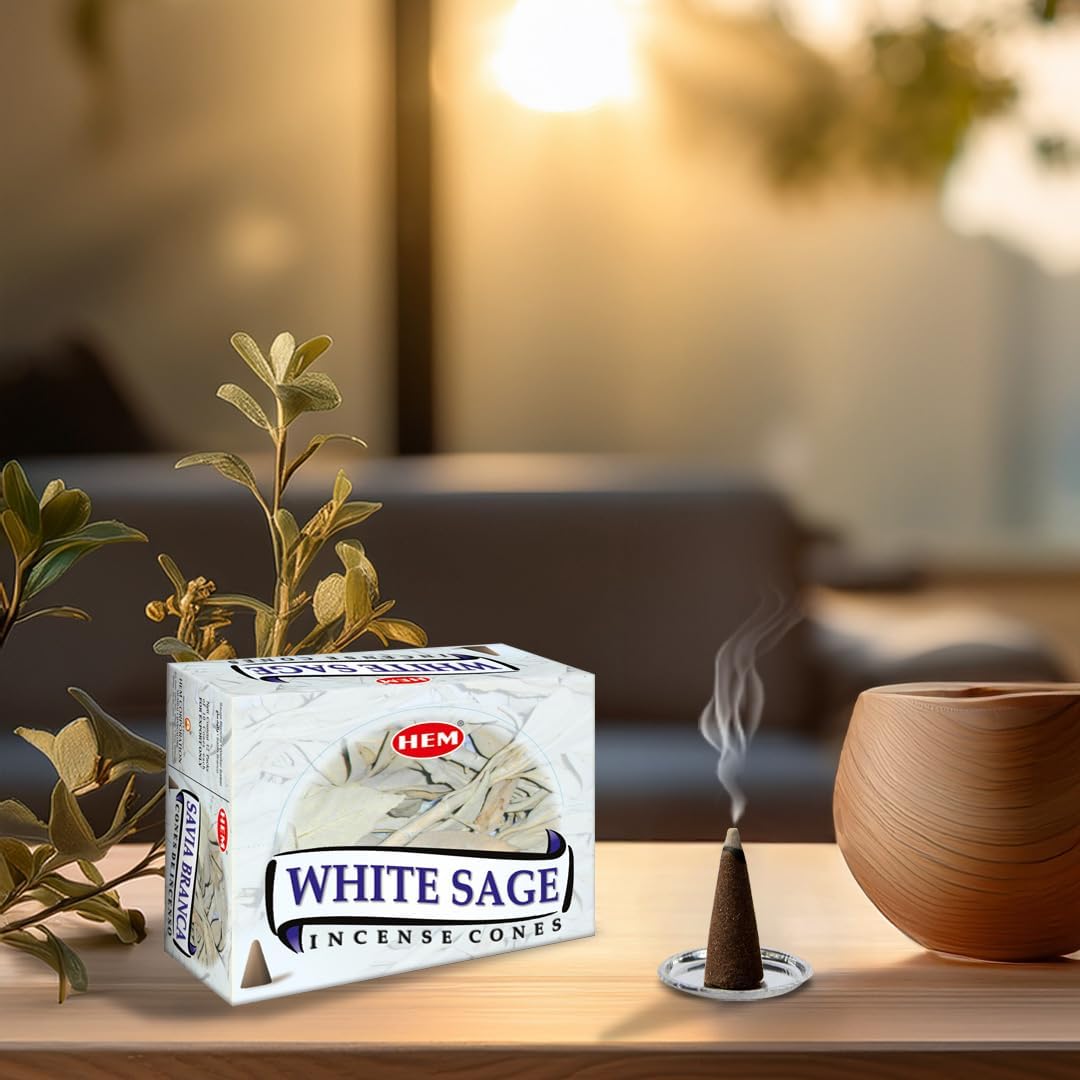 HEM White Sage Cones Pack of 12 10 Cones Each