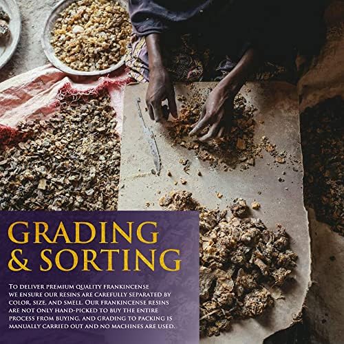 Frankincense Resins from Oman 100 Grams Natural Incense