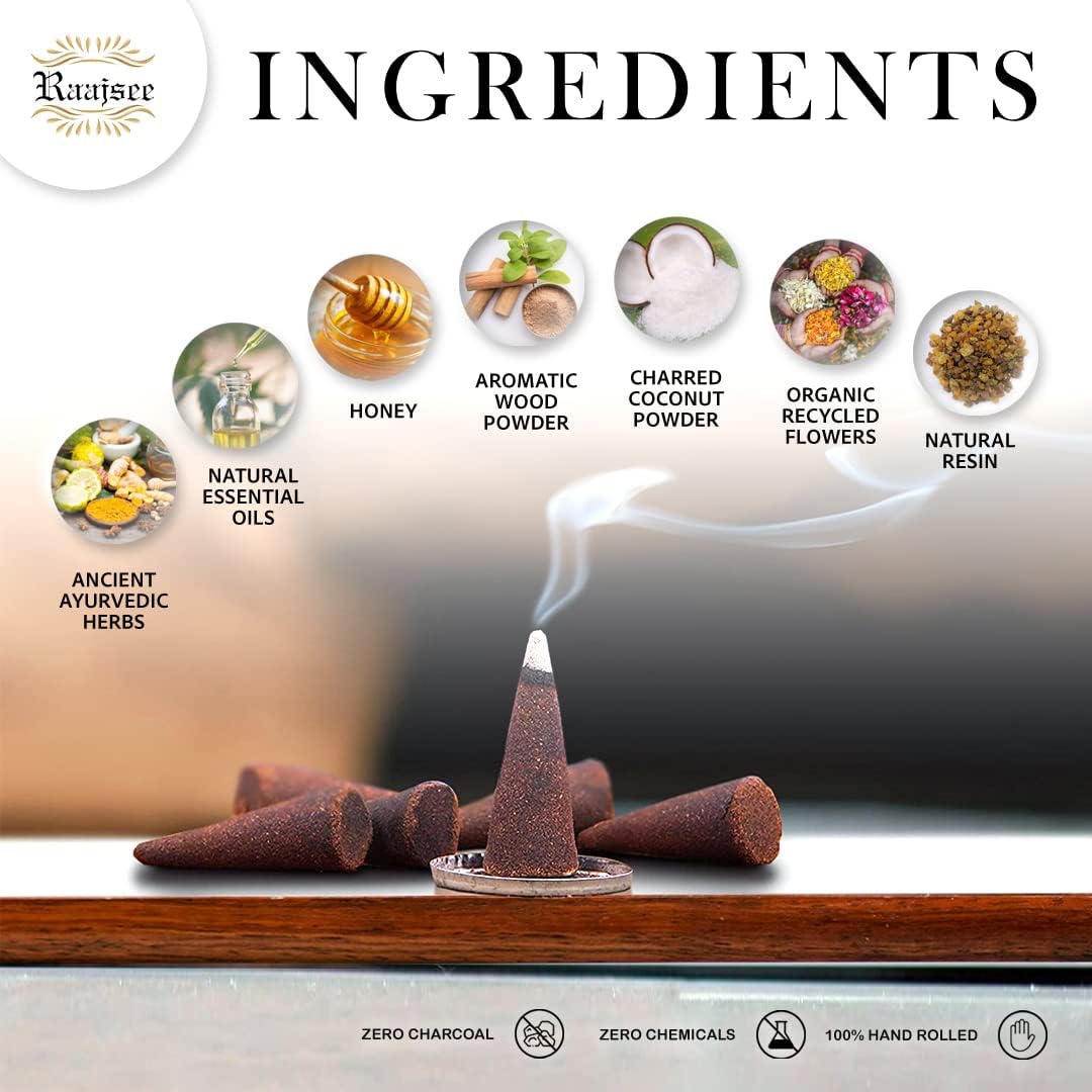 Raajsee Natural Incense Cones Variety Pack 6x15