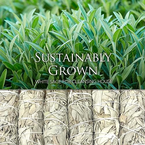 Age of Sage White Sage Smudge Sticks 3 Pack 4 Inch Long