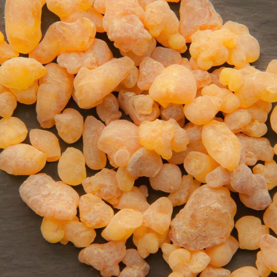 Yajna Pure Indian Frankincense Resin 113 Grams