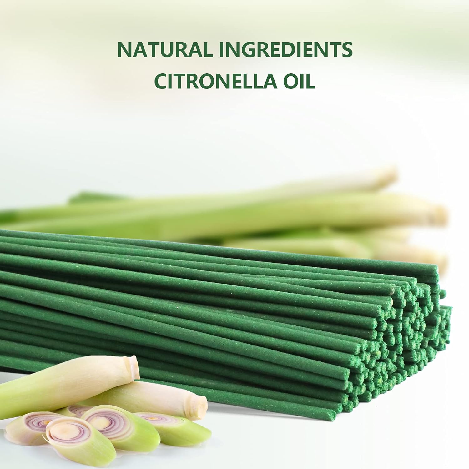 STRN Citronella Incense Sticks with Holder - 120 Sticks per Box